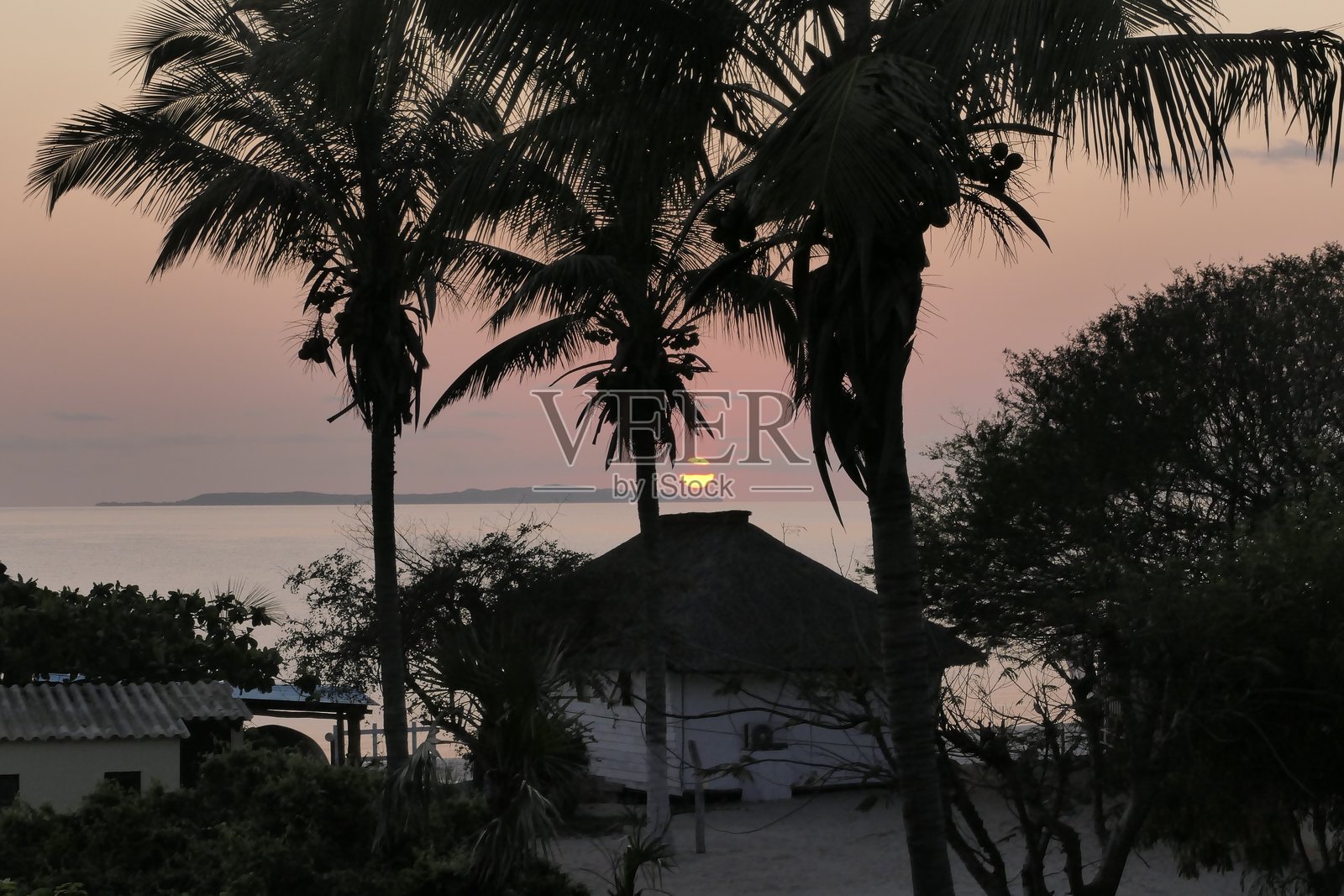 南非的野生动物园照片摄影图片