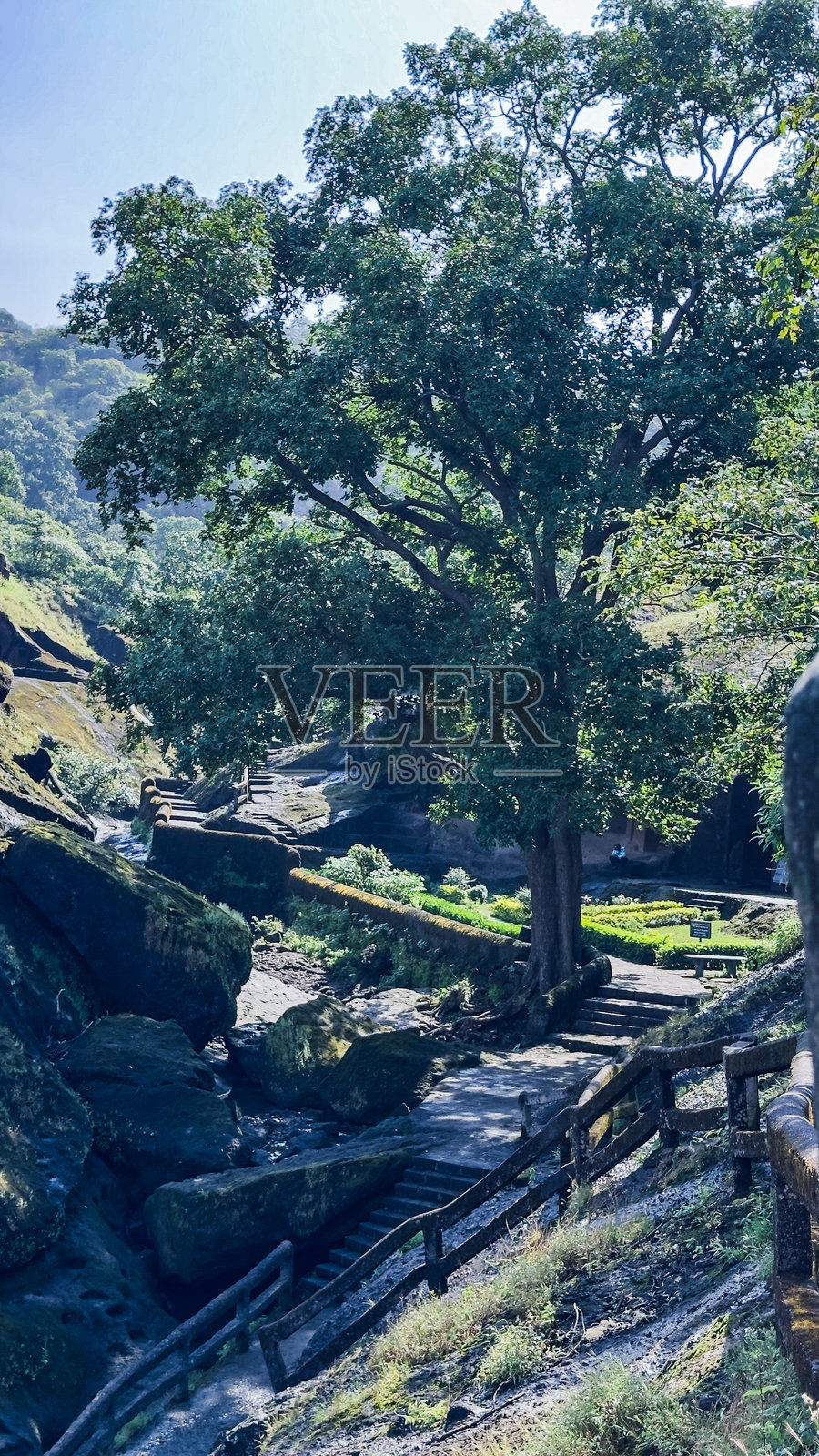 印度圣贾伊·甘地国家公园森林中的卡内里洞穴照片摄影图片