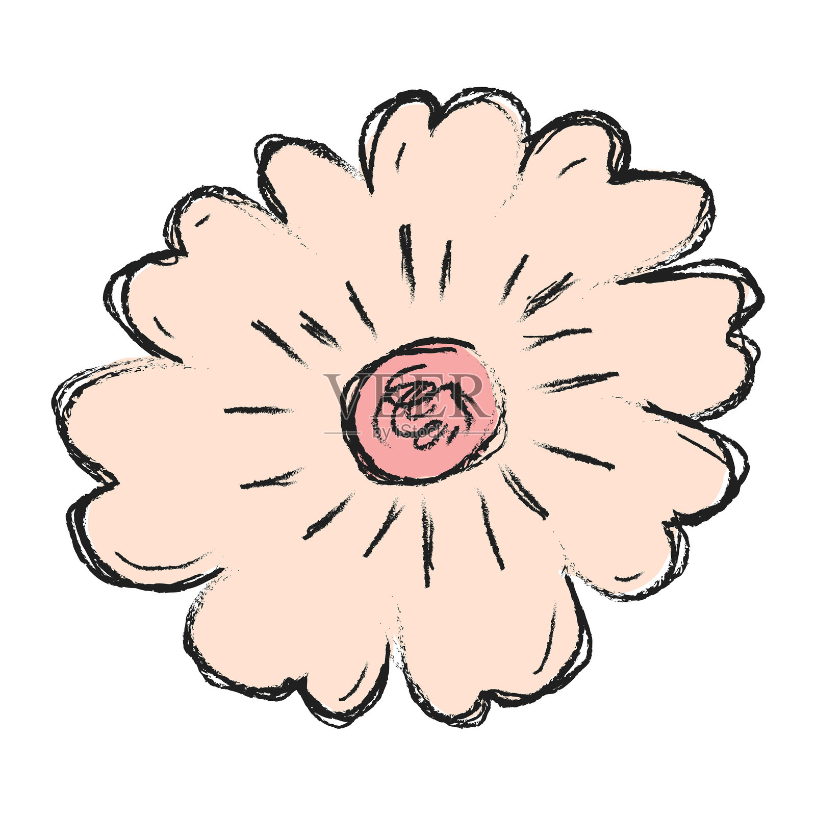 手绘花卉插图。花卉元素设计。手绘植物插图插画图片素材