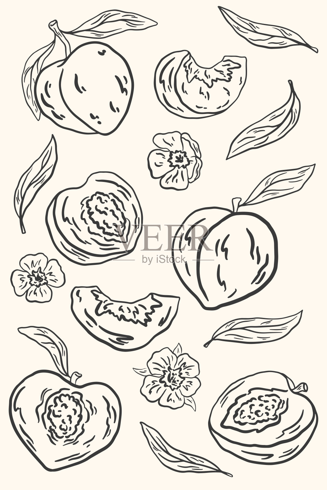 2924_桃子套装插画图片素材