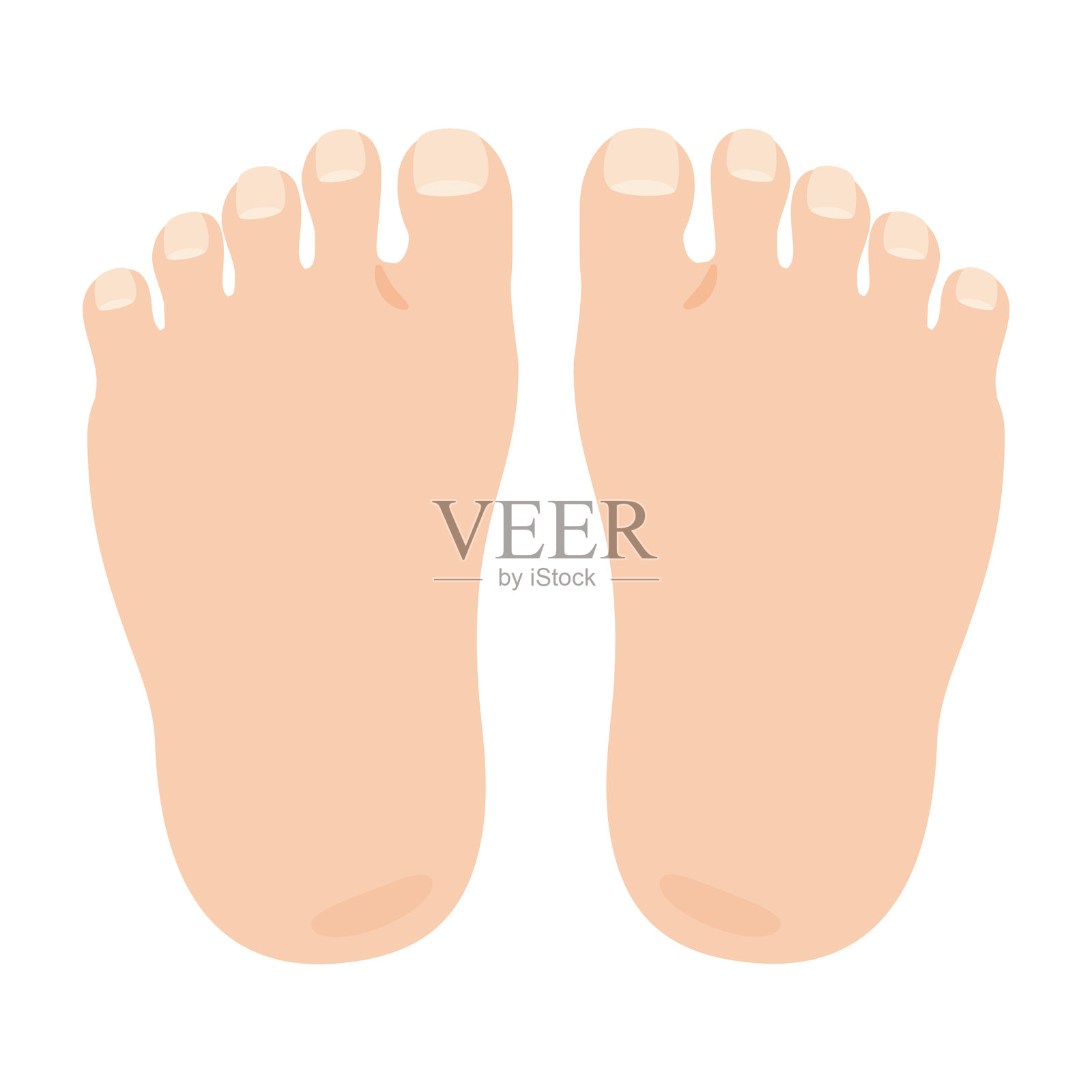 脚背的插图插画图片素材