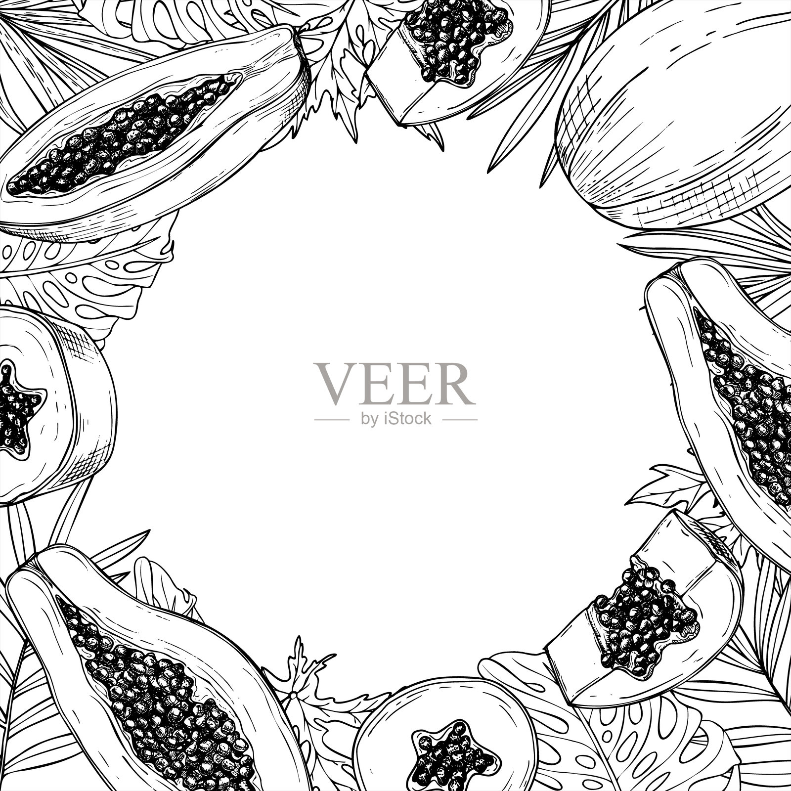 单色线条风格的热带木瓜水果和 monstera、棕榈叶方框。带有种子的异国木瓜切片与叶子图形插图，留有文本空白。夏季边框。插画图片素材