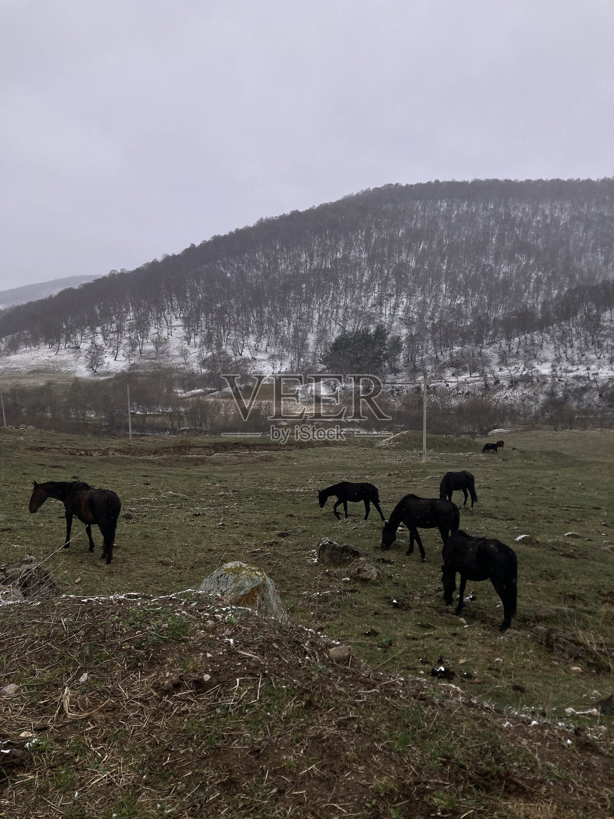 山景照片摄影图片