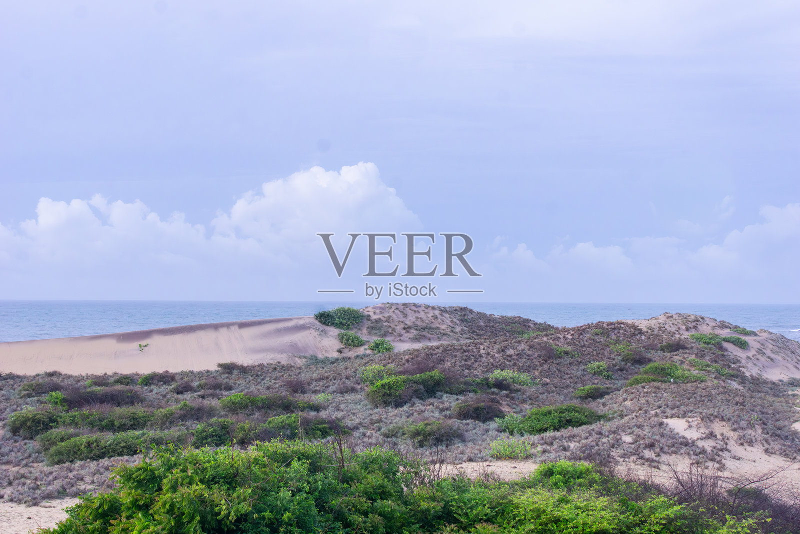 雅拉国家公园的海岸沙丘和植被照片摄影图片