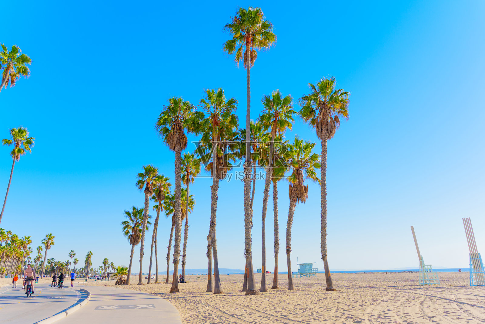 阳光明媚的天气下,棕榈树沿着圣塔莫尼卡海滩步道排成一行照片摄影图片