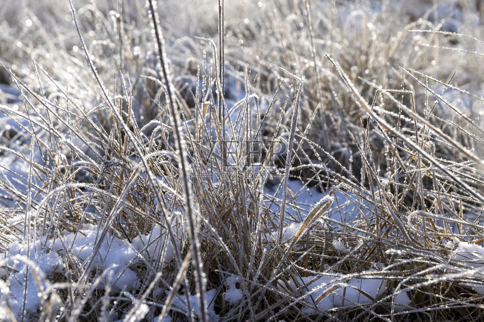 冬季阳光明媚的田野草地，雪后和霜冻后的美丽冬季自然景观照片摄影图片