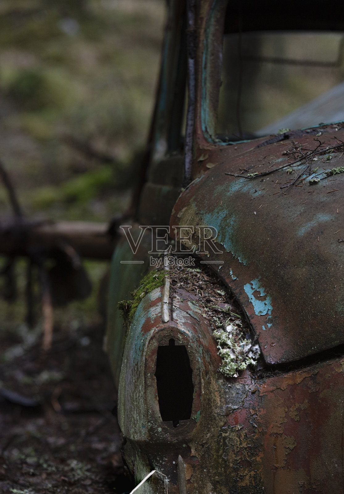 森林中被遗弃的汽车后角照片摄影图片