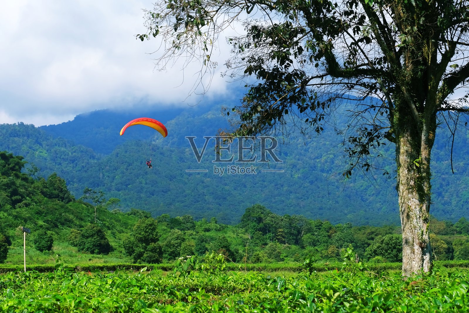 一名滑翔伞运动员在明亮的天空下翱翔于郁郁葱葱的绿色山丘上。照片摄影图片