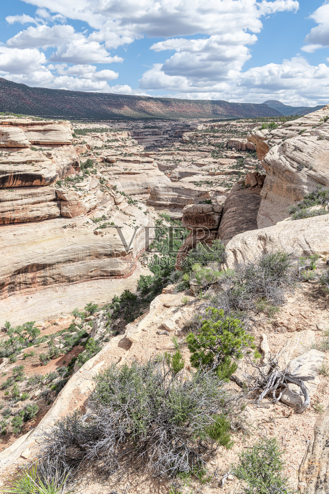 犹他州自然桥国家纪念碑的卡奇纳自然桥附近的阿姆斯特朗峡谷曲流照片摄影图片
