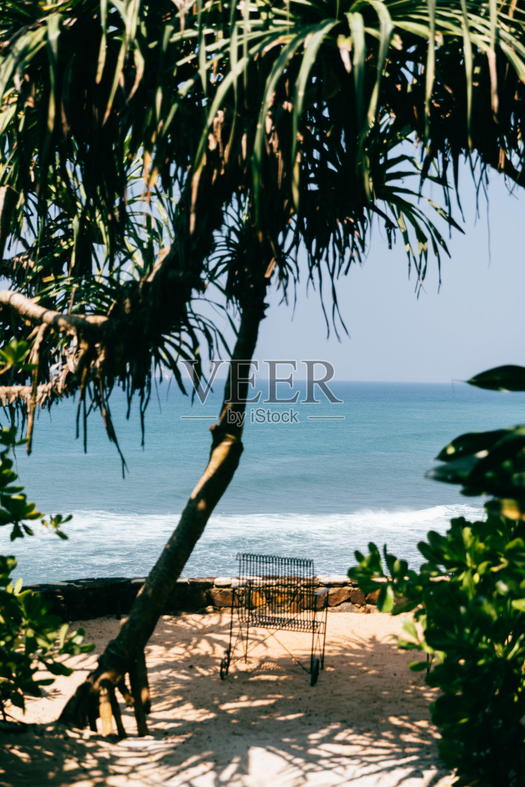 斯里兰卡的海洋景观照片摄影图片