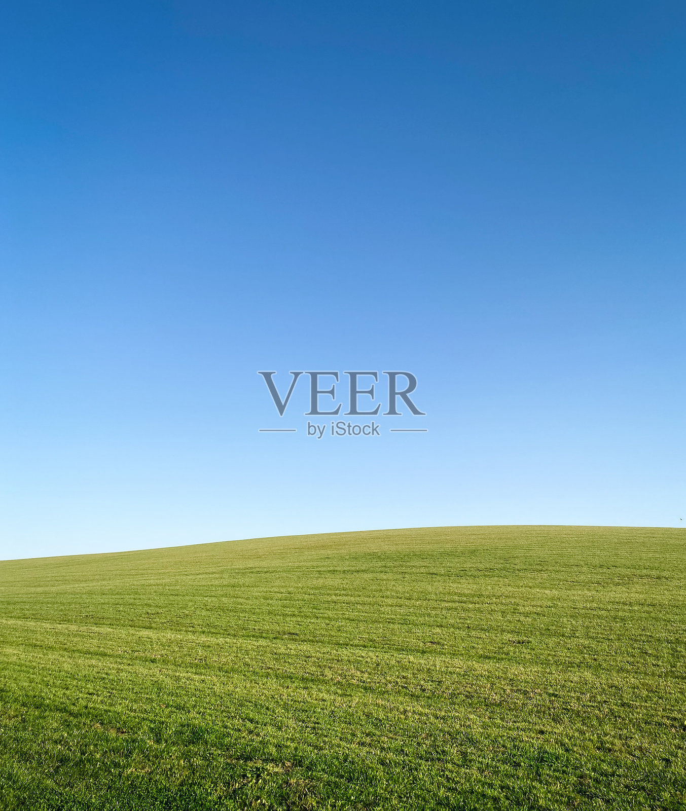 短草地，令人想起Bliss壁纸。照片摄影图片