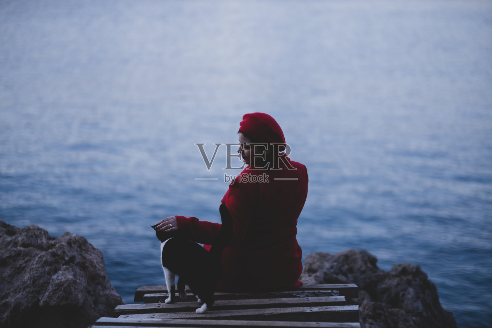 女人和猫照片摄影图片