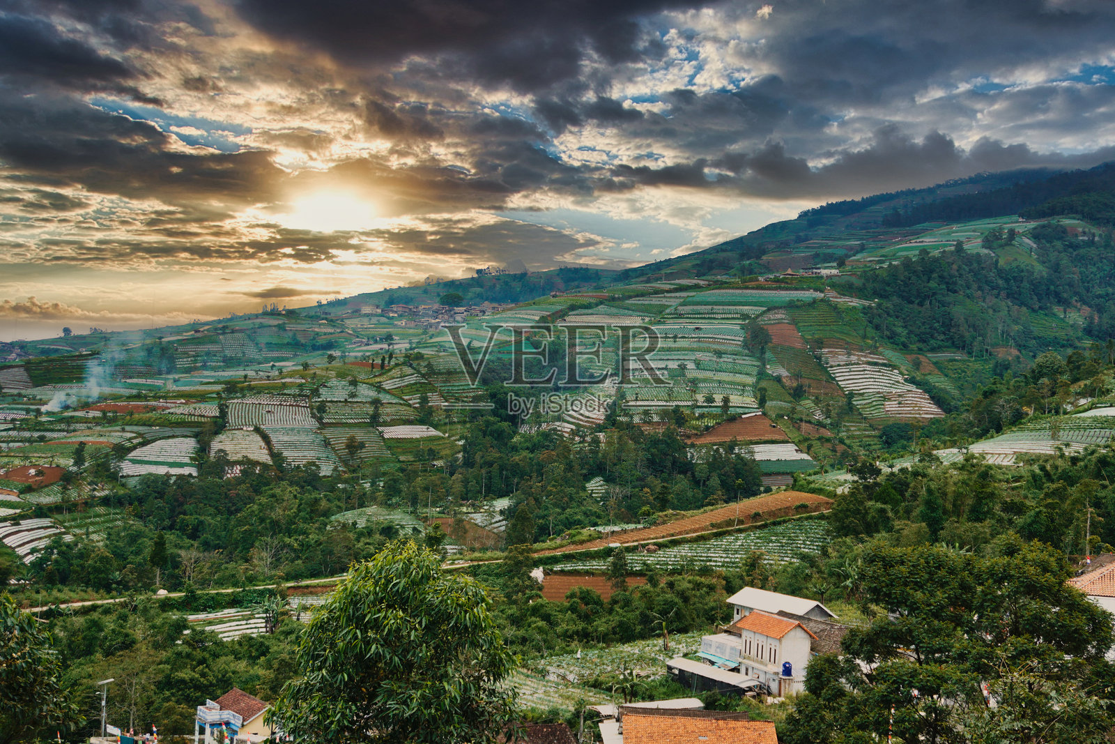 日出时分的农业山坡美景，拼接的农田景观照片摄影图片