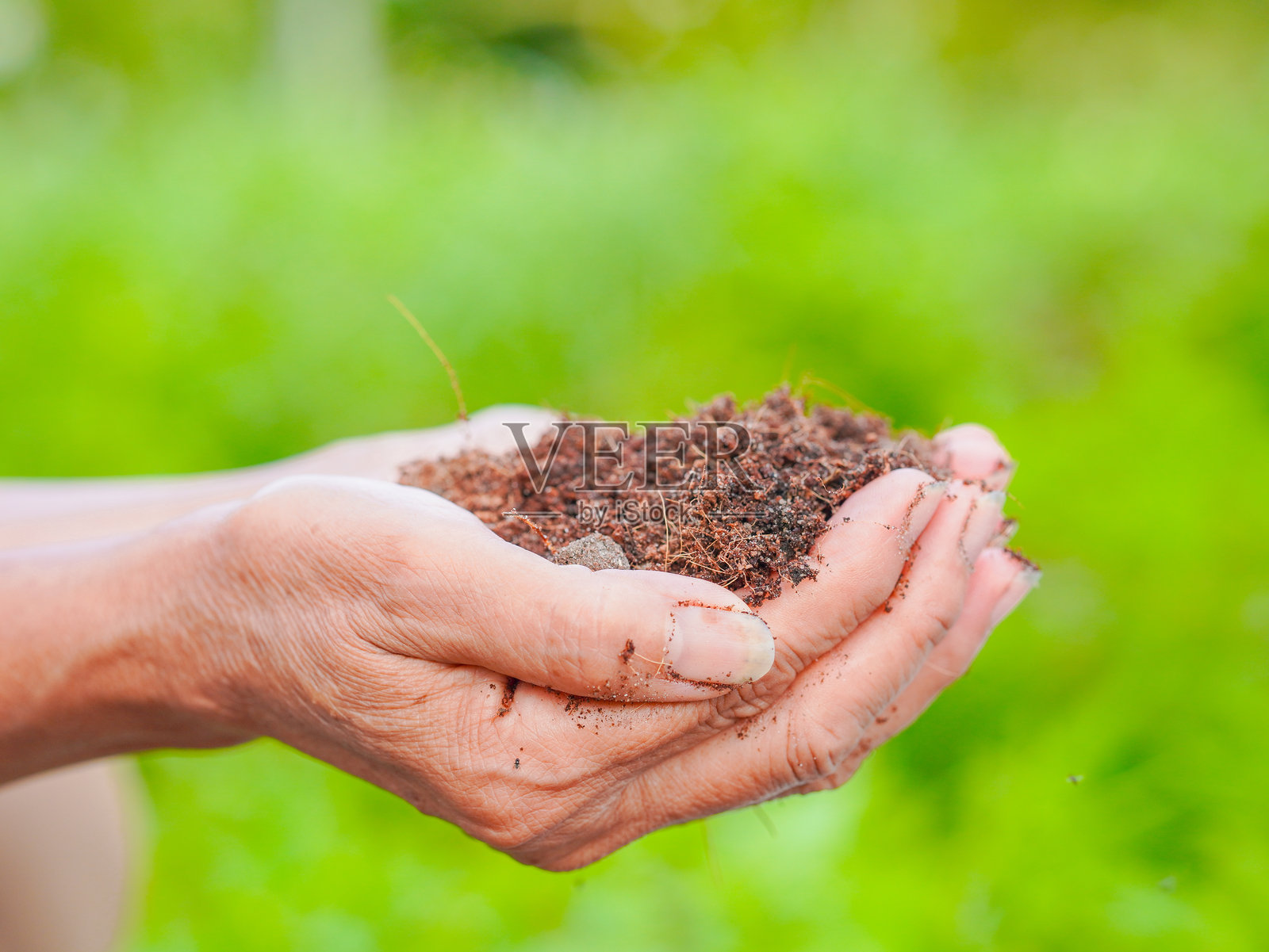 绿色能源。一个人手握土壤的特写，背景为自然环境。环境。农民在园艺。照片摄影图片