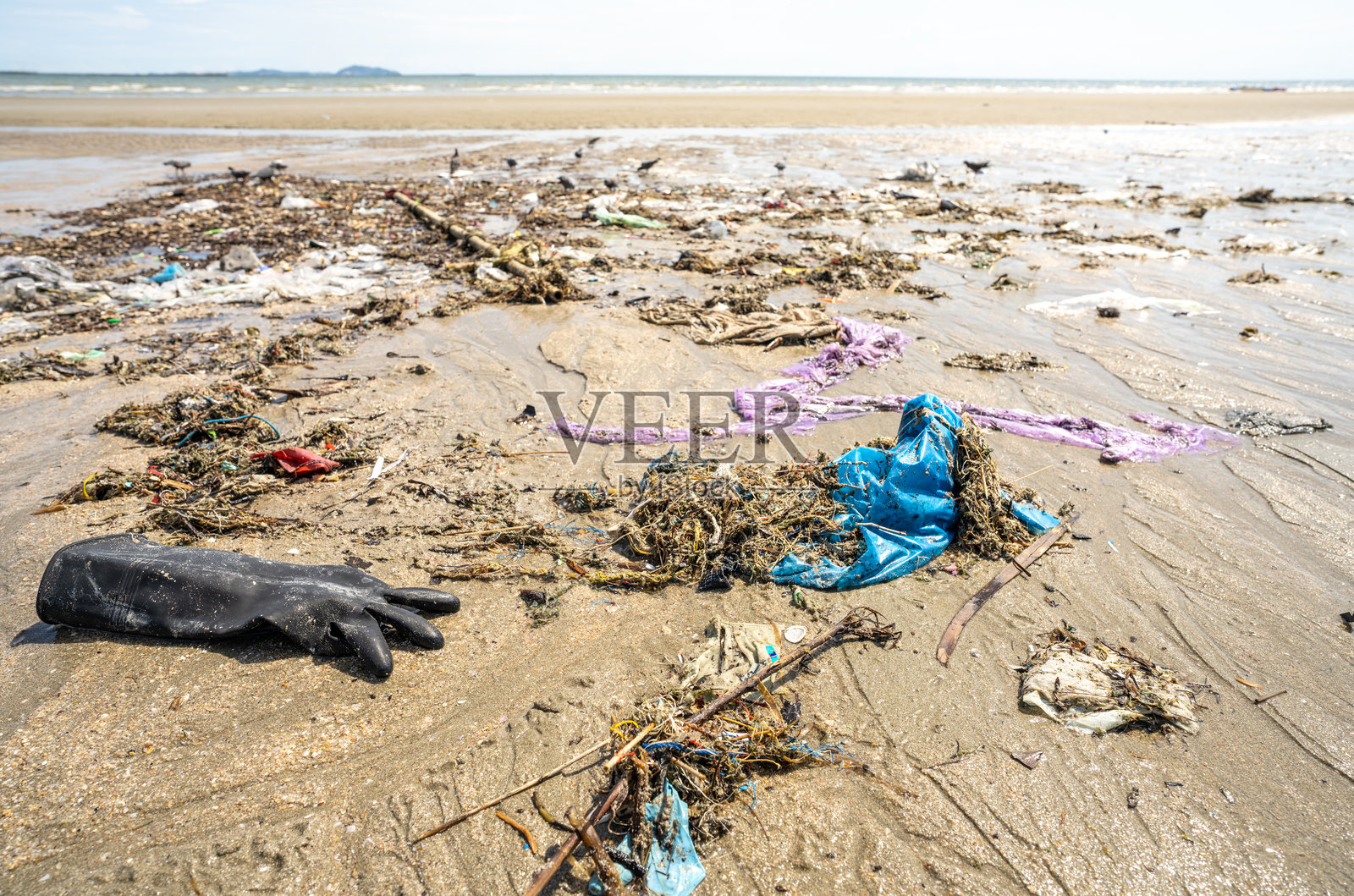 人类废物覆盖了热带海滩，塑料袋和杂物散落在海岸线上。全球海洋污染和环境污染危机。海滩污染危机。海洋废物。照片摄影图片