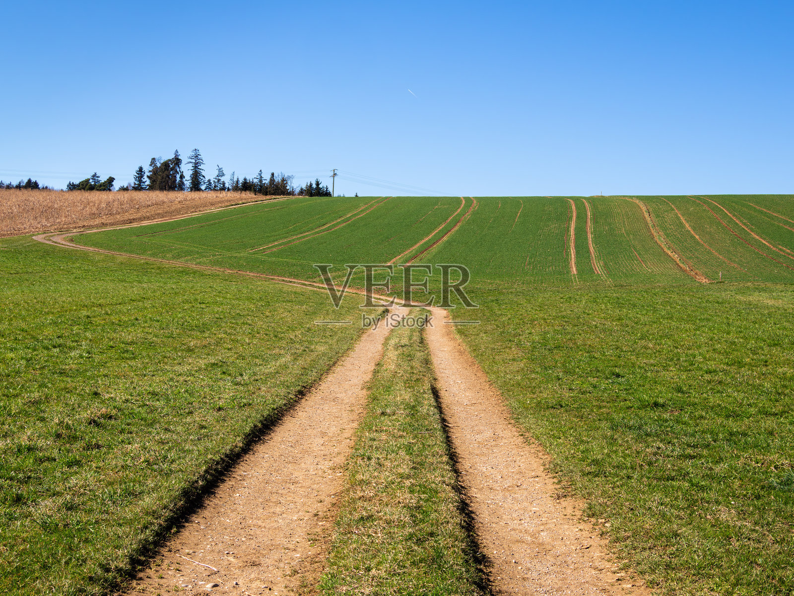 蓝天下绿野中的泥土小径照片摄影图片