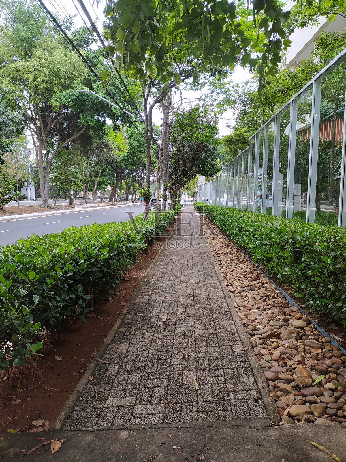 空荡荡的人行道被装饰性灌木围绕,位于佩德拉阿祖尔大道的一栋高档住宅楼旁。照片摄影图片