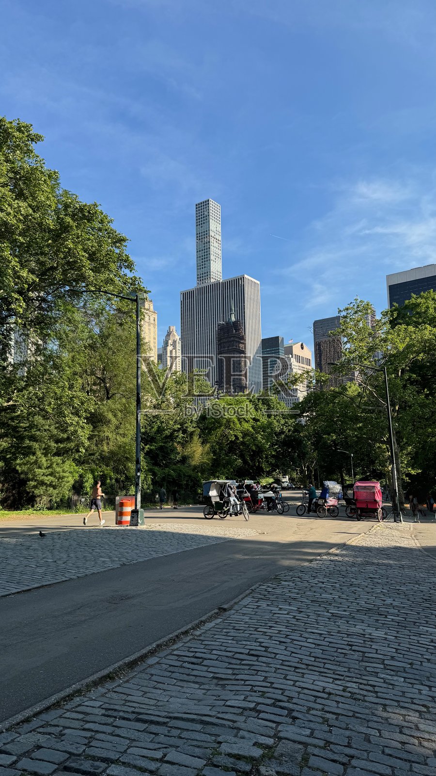 白天中央公园的垂直视角照片摄影图片