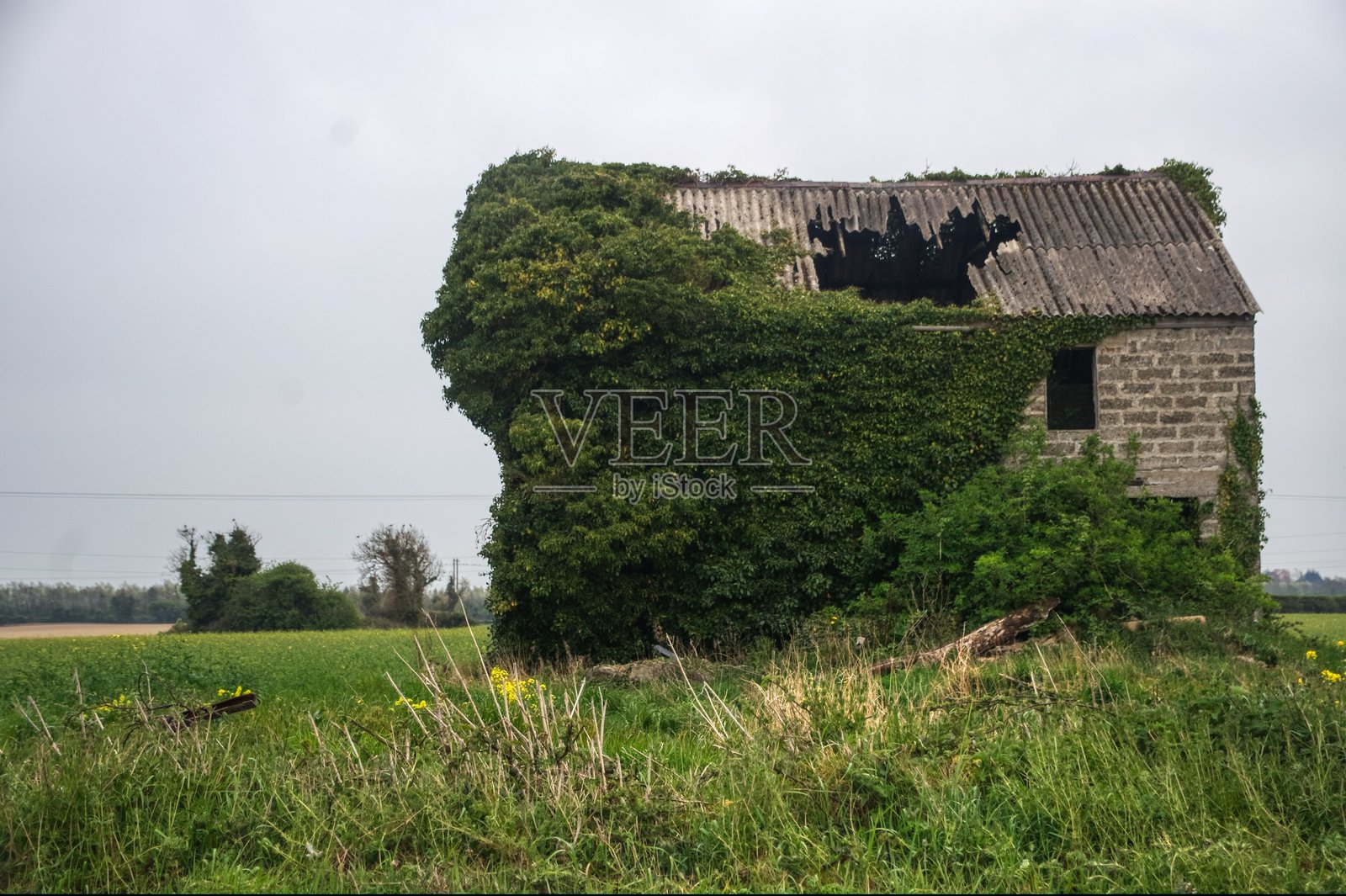 废弃的房子照片摄影图片