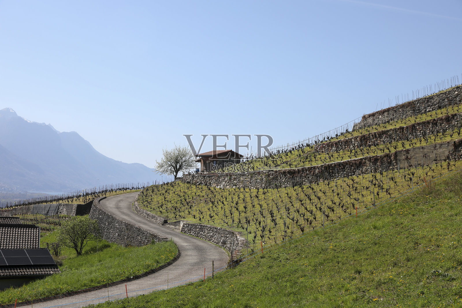 在索尚和维尔纽夫之间徒步旅行照片摄影图片