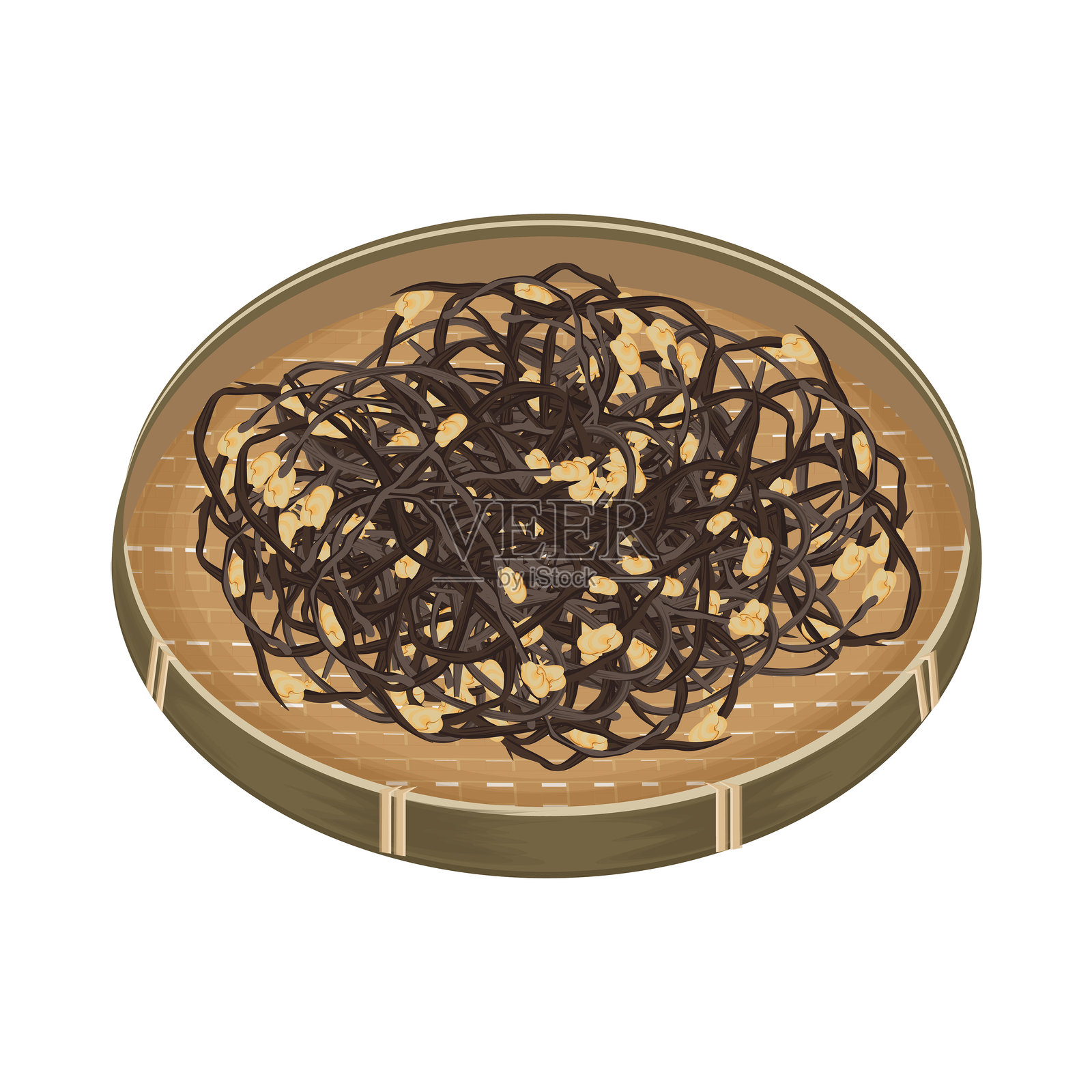 传统干蕨菜插画图片素材