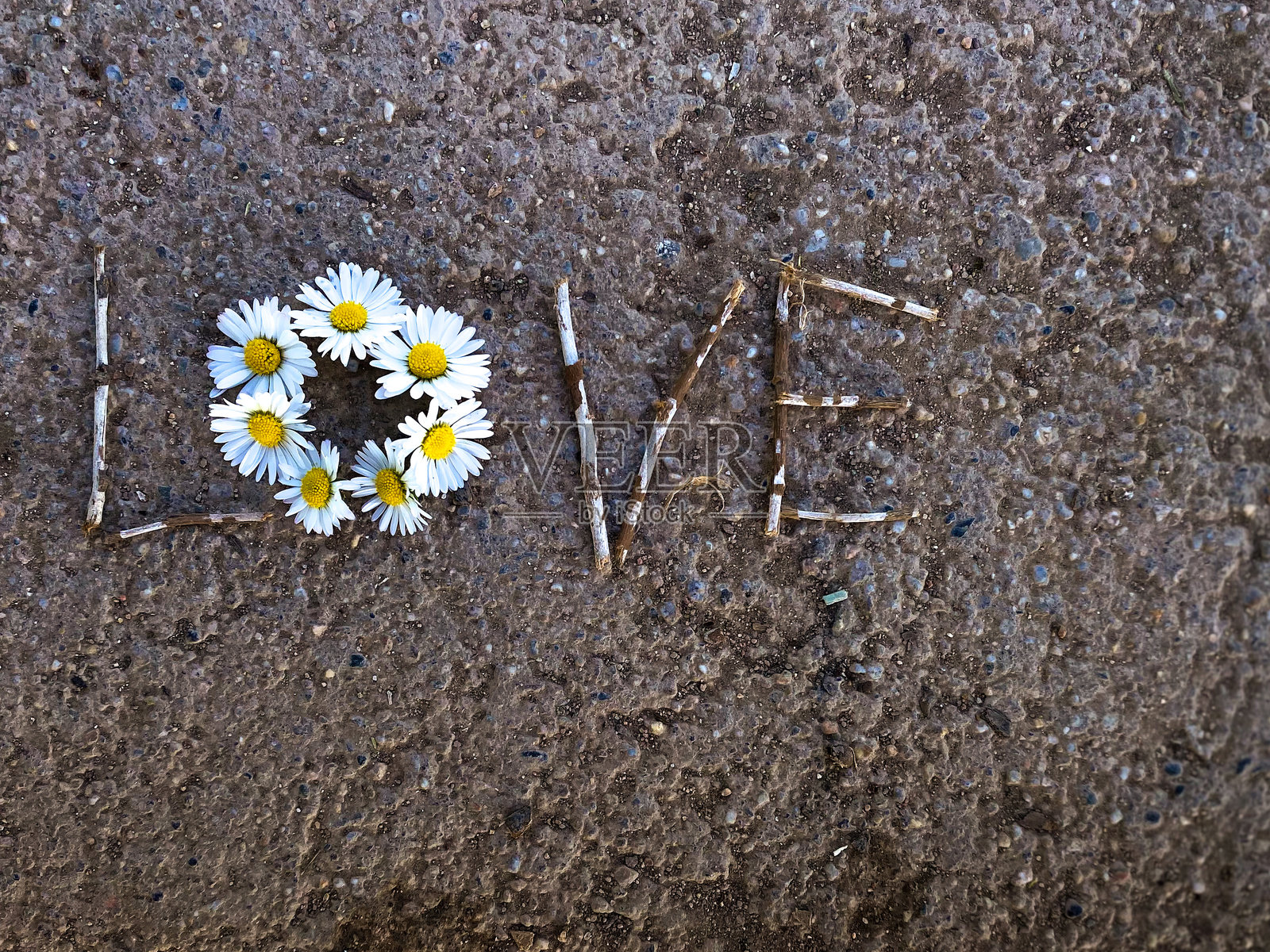 春天盛开的花朵特写镜头照片摄影图片