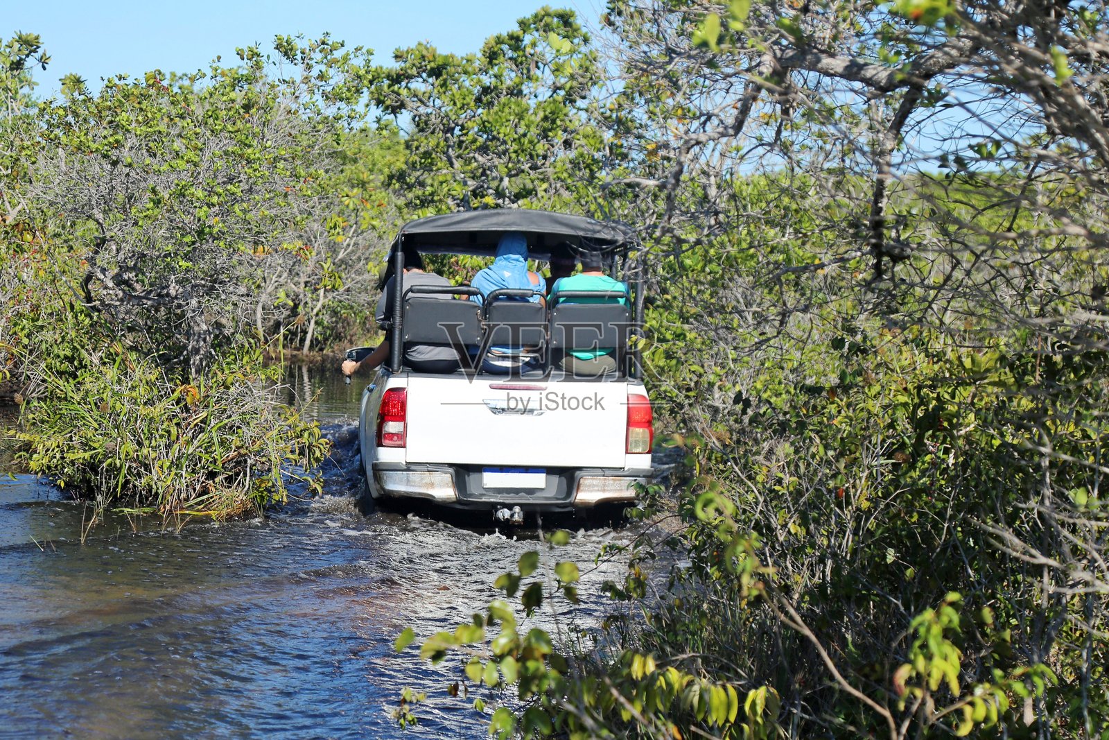 4x4越野冒险穿越沼泽和森林照片摄影图片