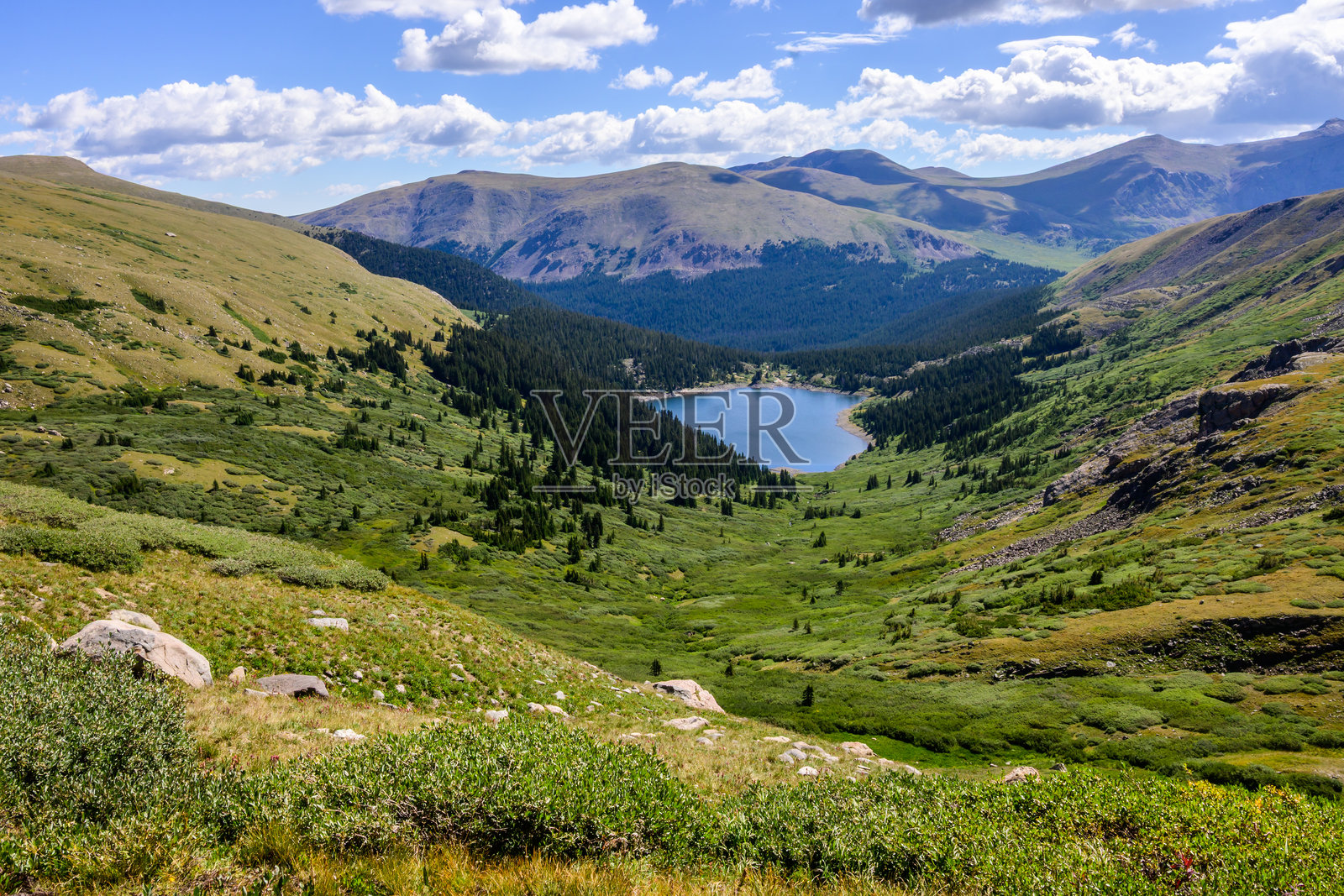 科罗拉多落基山脉中的奈勒湖与五彩斑斓的野花草甸照片摄影图片