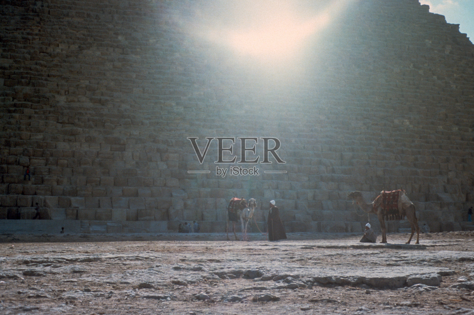 埃及 - 1978 - 35毫米 - 金字塔与骆驼照片摄影图片