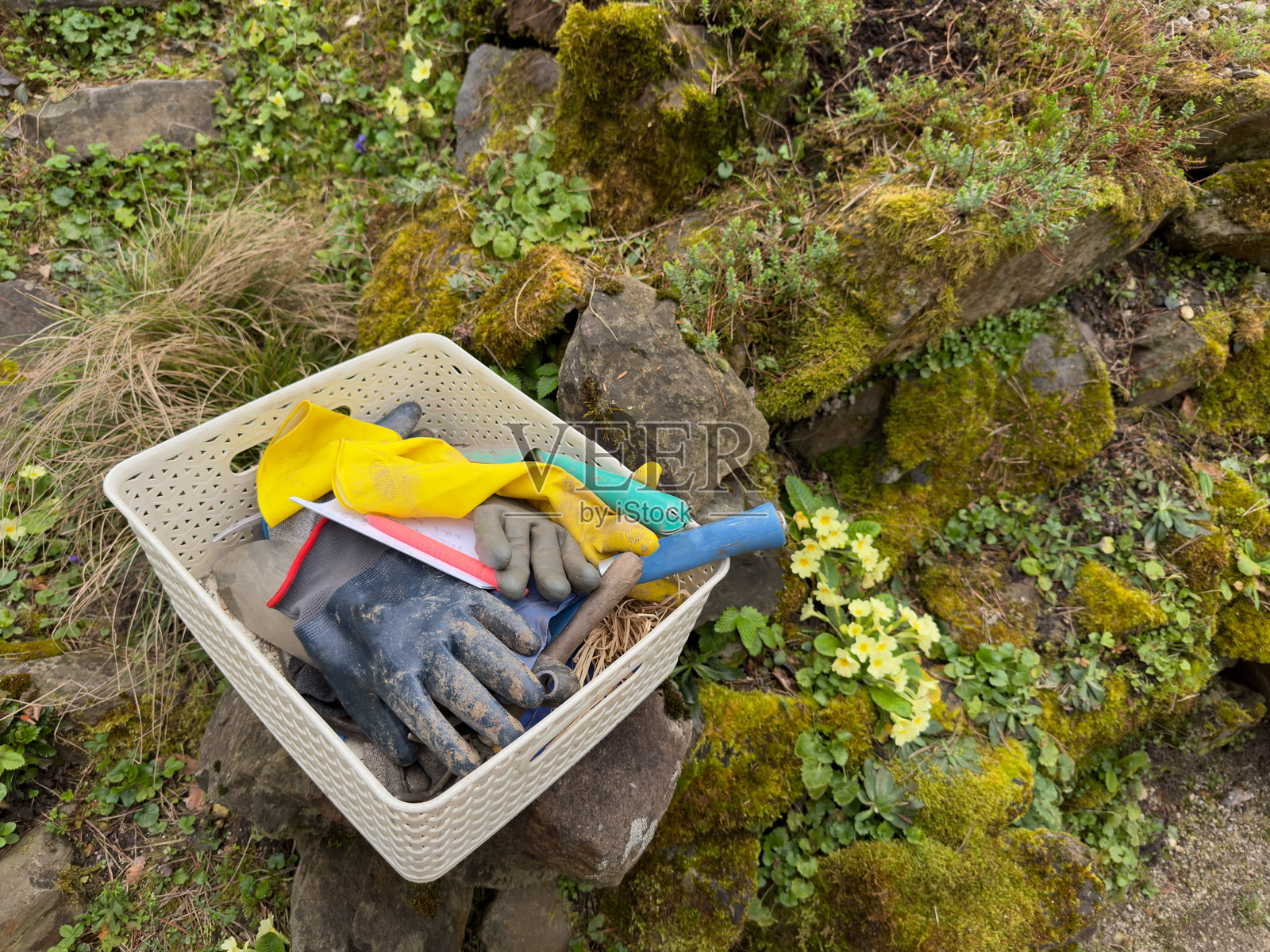 户外的苔藓石上放着装有园艺工具和手套的篮子，周围有植物。照片摄影图片