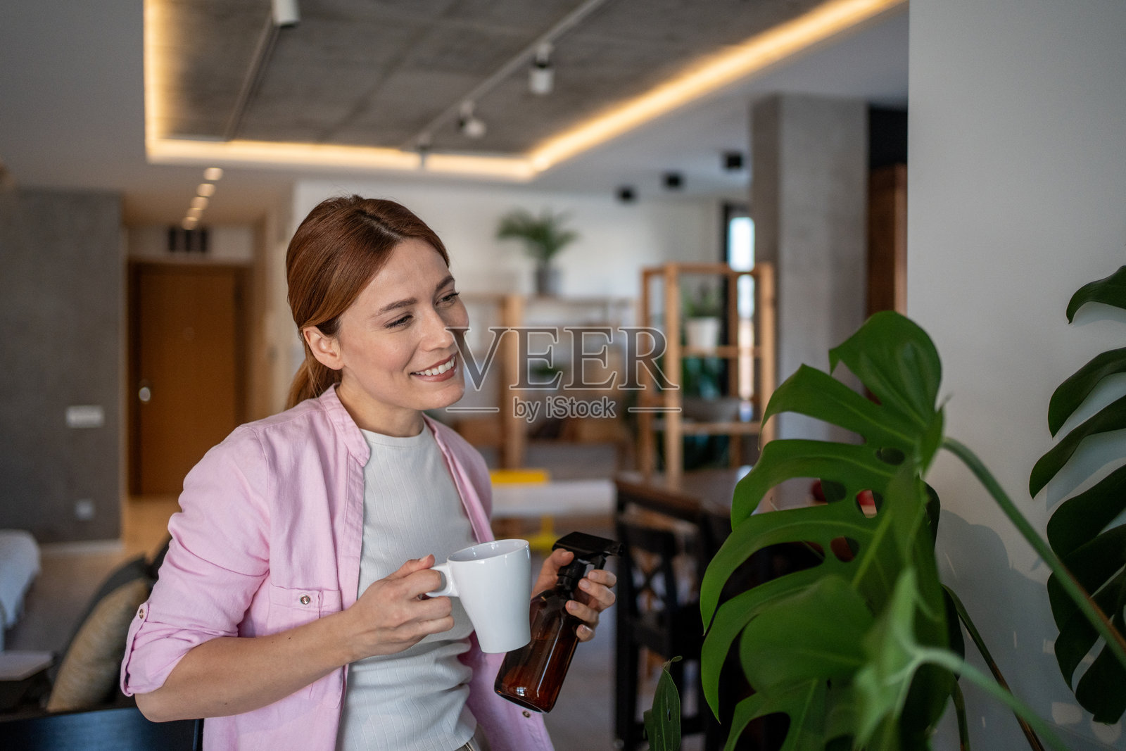 女人在家中手持咖啡杯和喷雾瓶给植物浇水照片摄影图片