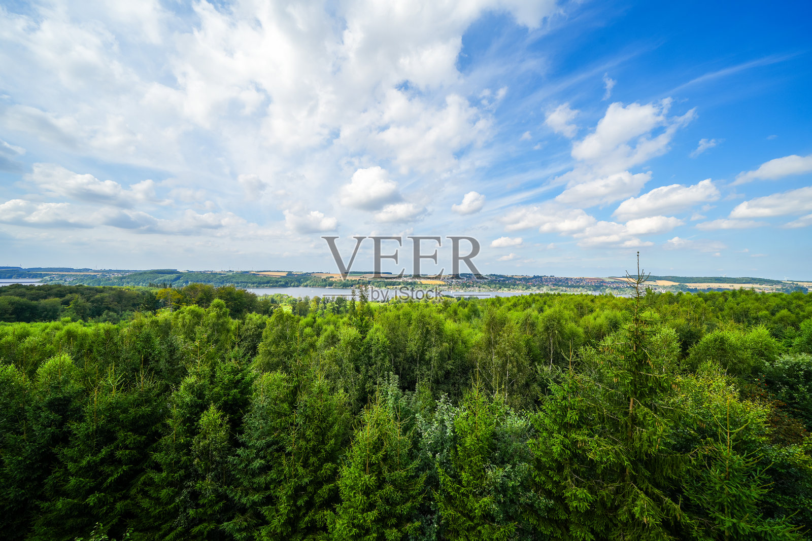 从莫恩湖观景塔俯瞰周围的绿色景观。莫恩湖的自然风光。照片摄影图片