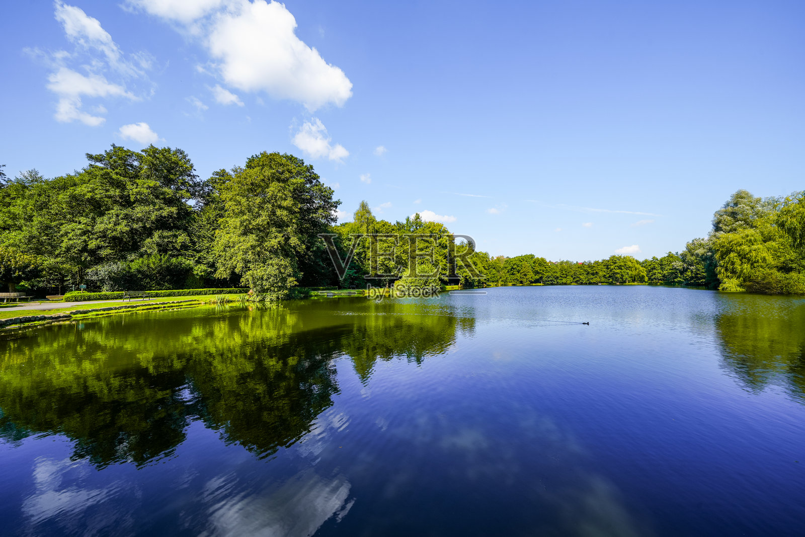 巴德温嫩堡温泉公园的划船池景观。城市中的休闲区。照片摄影图片