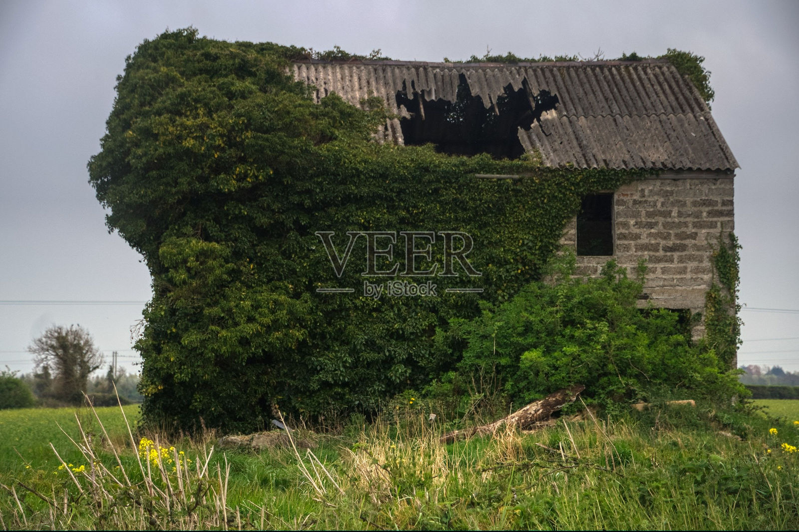 废弃的房子照片摄影图片