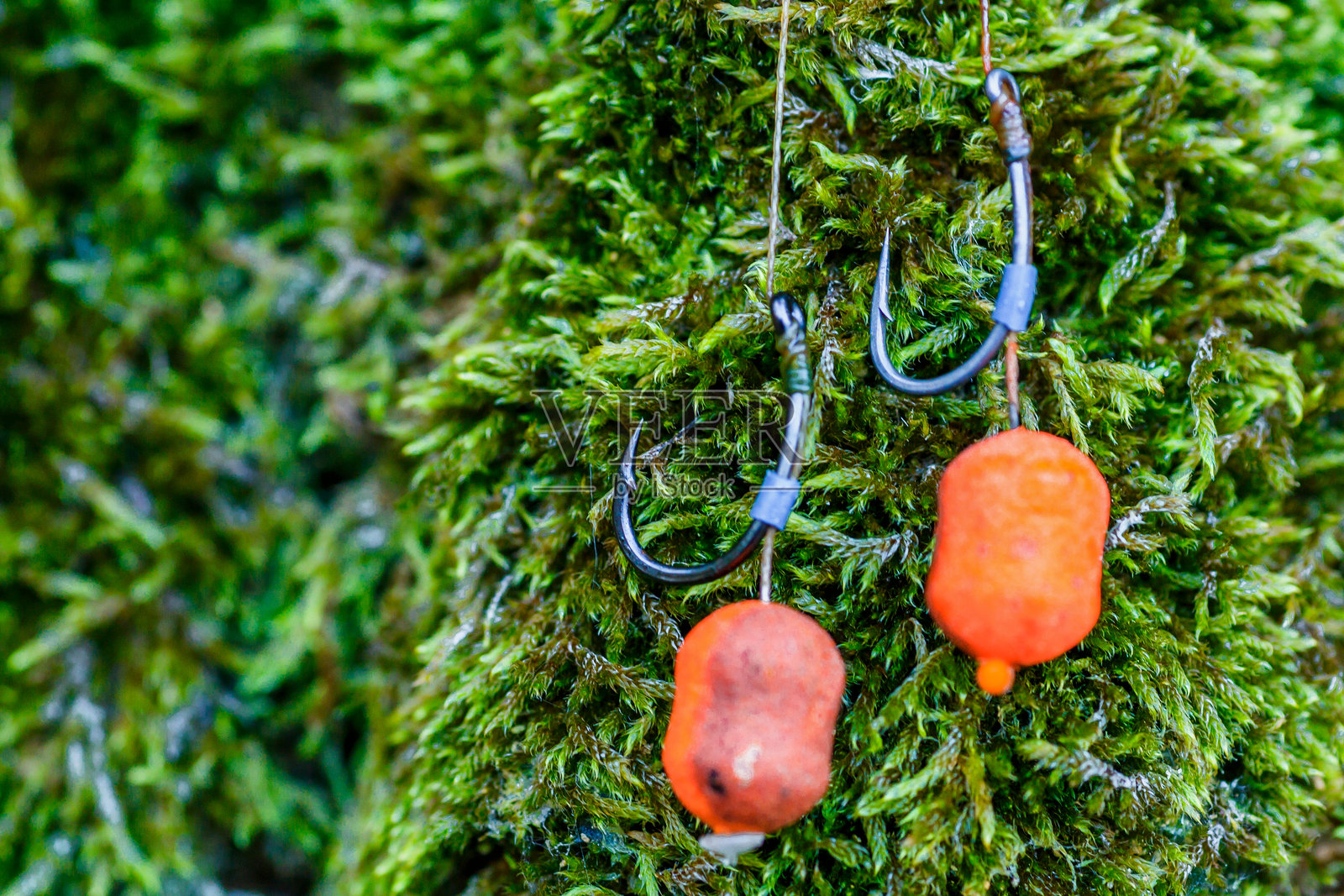 湖边的鲤鱼垂钓时光。鲤鱼钩。鲤鱼钓具。用于鲤鱼垂钓的圆形饵料。照片摄影图片