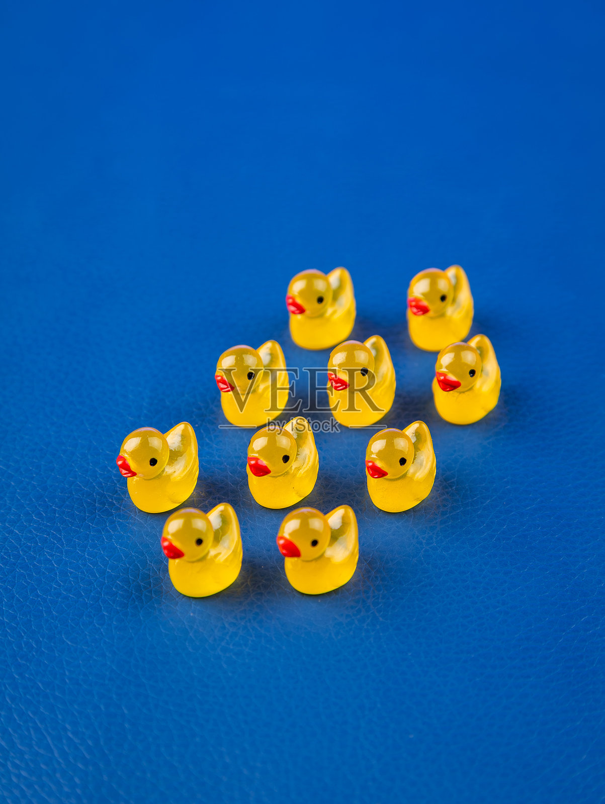 特写镜头照片摄影图片