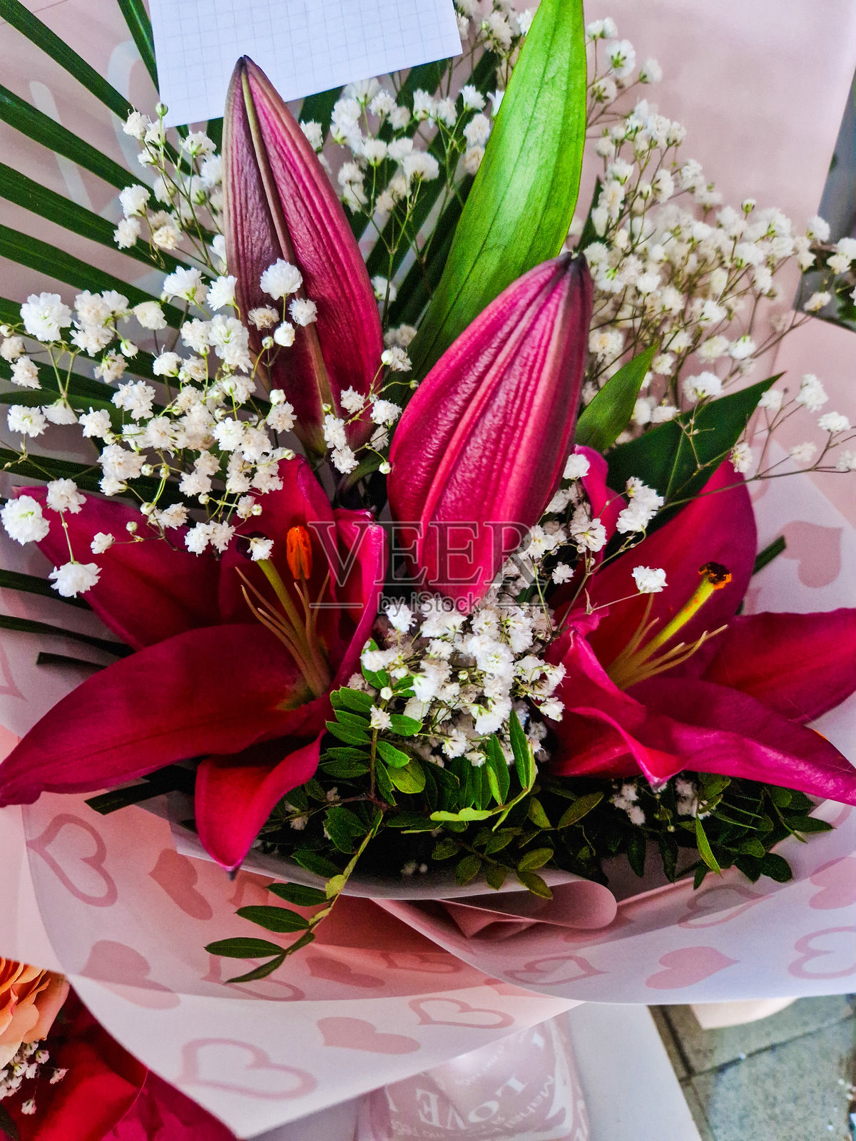 美丽的花瓣照片摄影图片