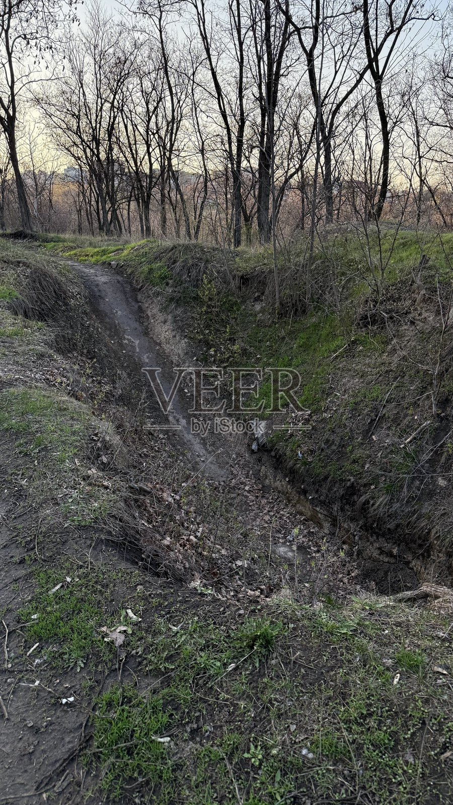 极限骑行的森林特殊下坡照片摄影图片