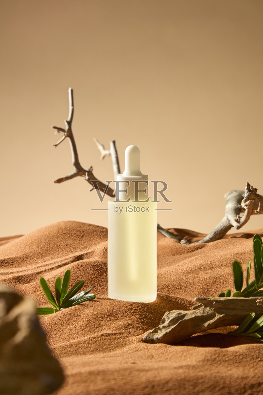 药水滴管瓶放置在荒凉的棕色沙土上。干枯的树枝蜿蜒着躺在沙地上。沙漠灌木在干燥阳光明媚的沙漠中茂盛生长，周围散落着许多树干。照片摄影图片