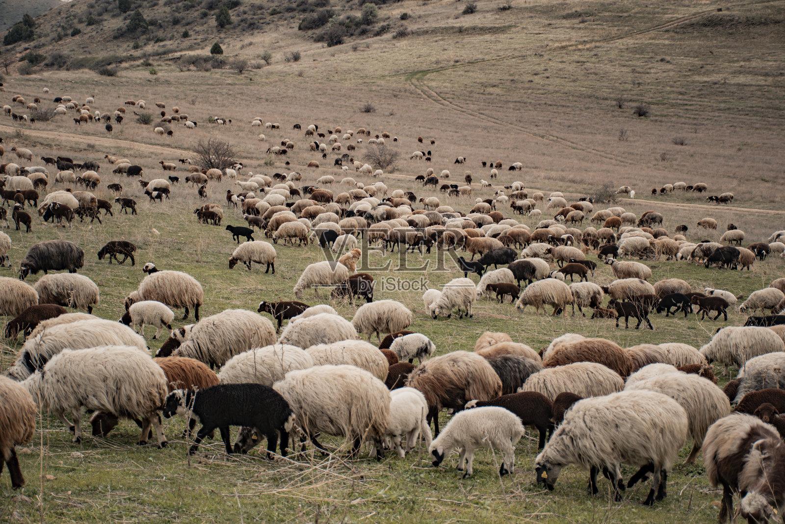 美丽的山中沙漠峡谷照片摄影图片