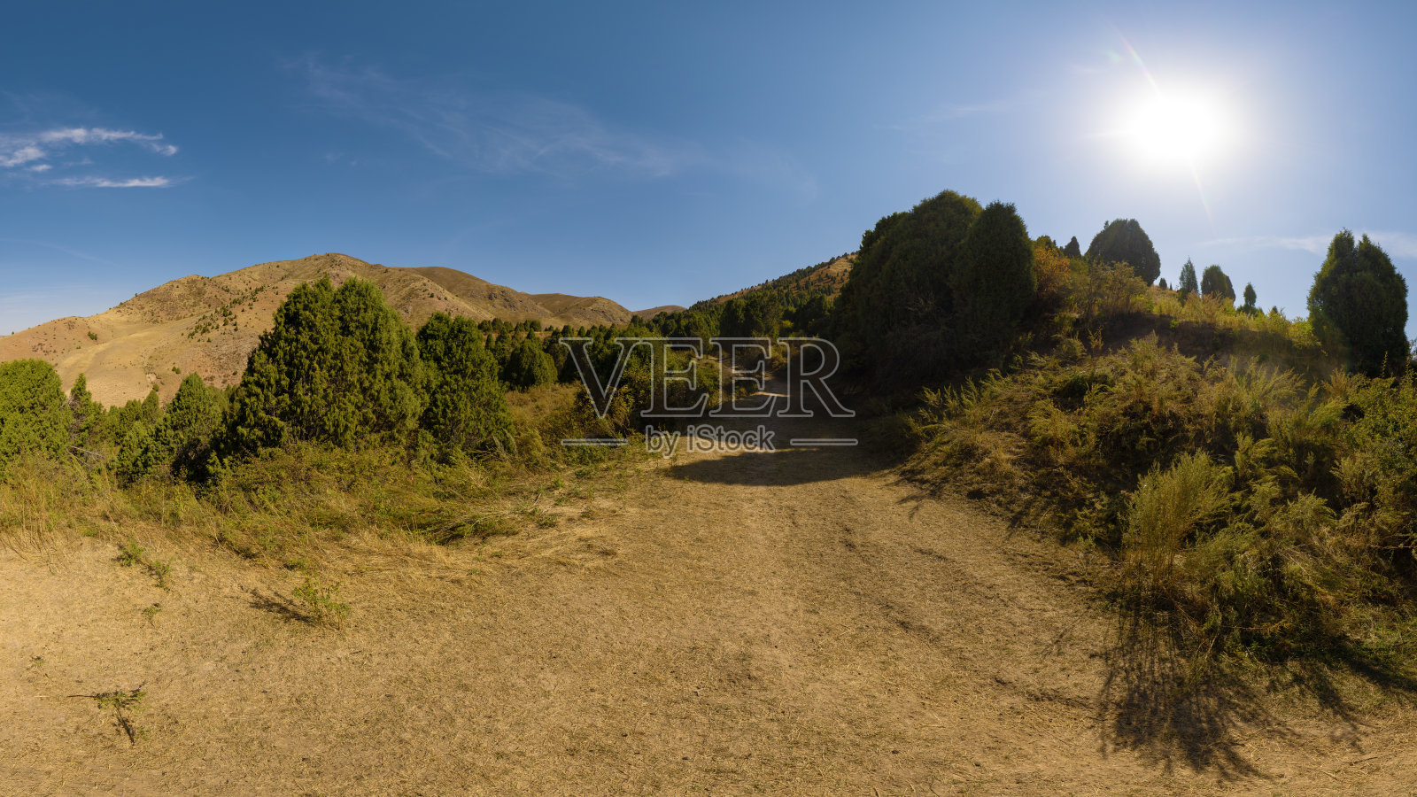 蜿蜒的小路穿过覆盖着刺柏的山丘照片摄影图片
