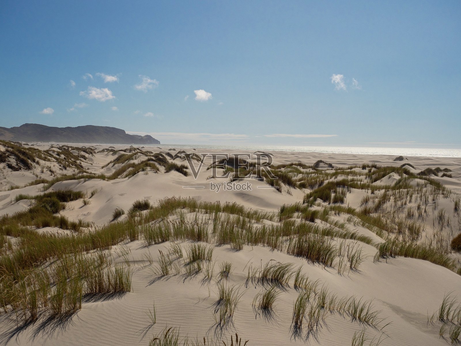 新西兰南岛黄金湾告别沙嘴太平洋海滩的草覆盖沙丘野生自然全景风光照片摄影图片