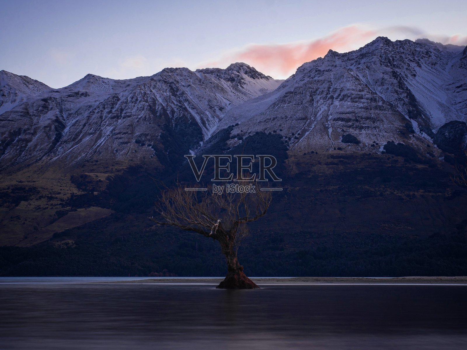 光秃的柳树，位于瓦卡蒂普湖前的格伦诺基树，背景是白雪覆盖的南阿尔卑斯山脉，格伦诺基，奥塔哥，新西兰照片摄影图片