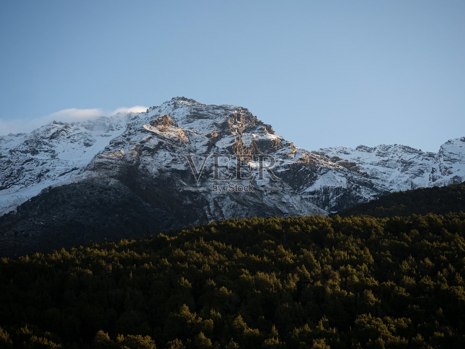 南阿尔卑斯山的雪顶山峰，位于基诺赫湖瓦卡蒂普奥塔哥新西兰冰川燃烧小径起点附近的绿色树木森林前。照片摄影图片