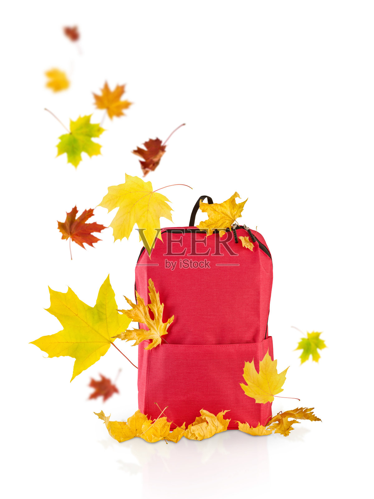 红色书包与飞舞的秋叶，背景为白色，带有抠图。返校季与飞舞的秋叶和秋天的概念。设计元素。留白空间。照片摄影图片