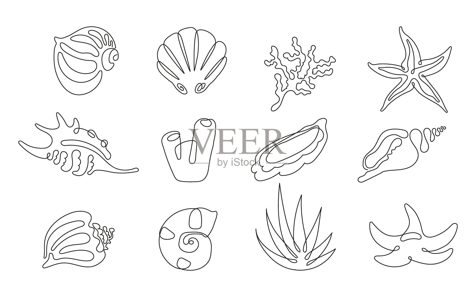 极简主义的一行贝壳插图。手绘的连续线条艺术海洋贝壳，完美适用于现代海岸装饰、标志设计、纹身、包装和海滩主题项目。插画图片素材