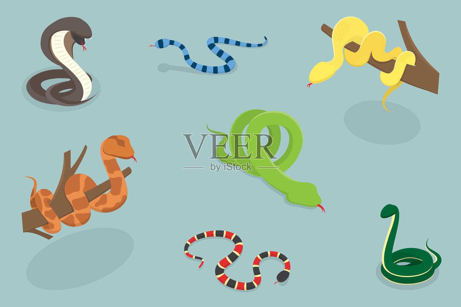 彩色毒蛇的3D等距平面矢量插图插画图片素材