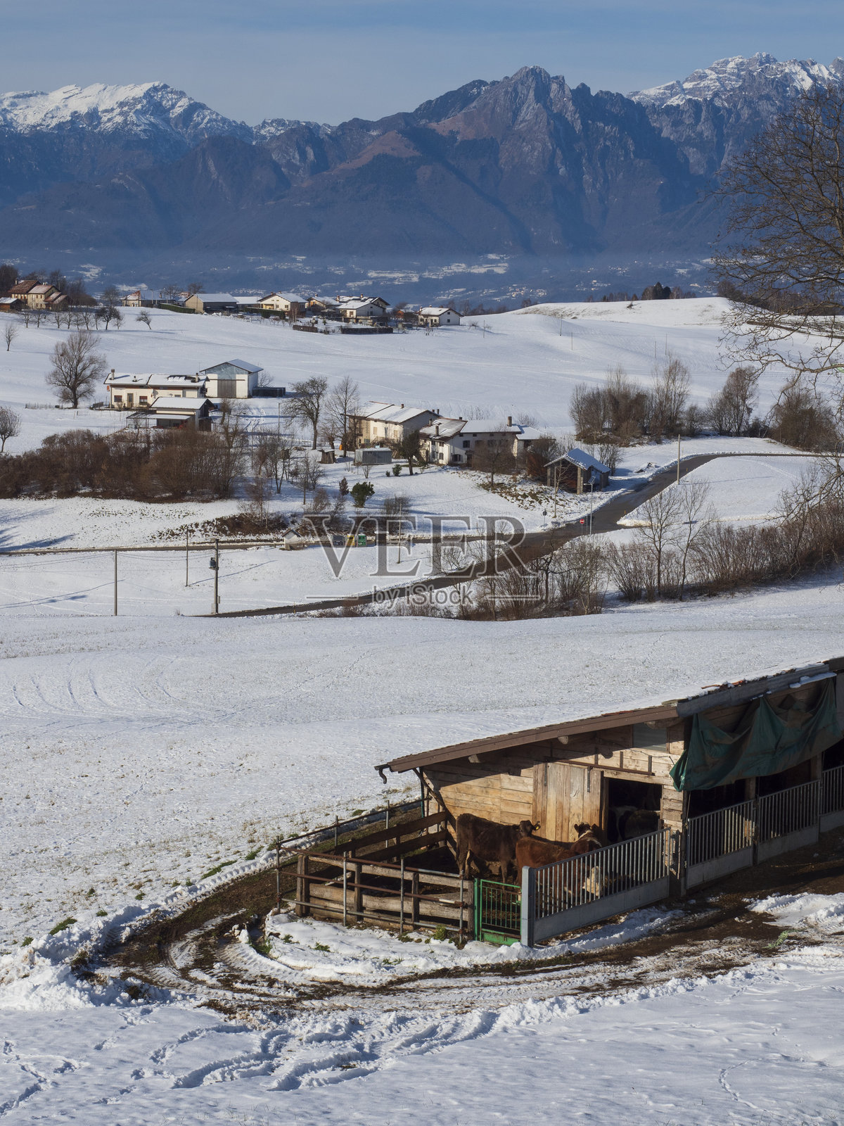 梅尔照片摄影图片