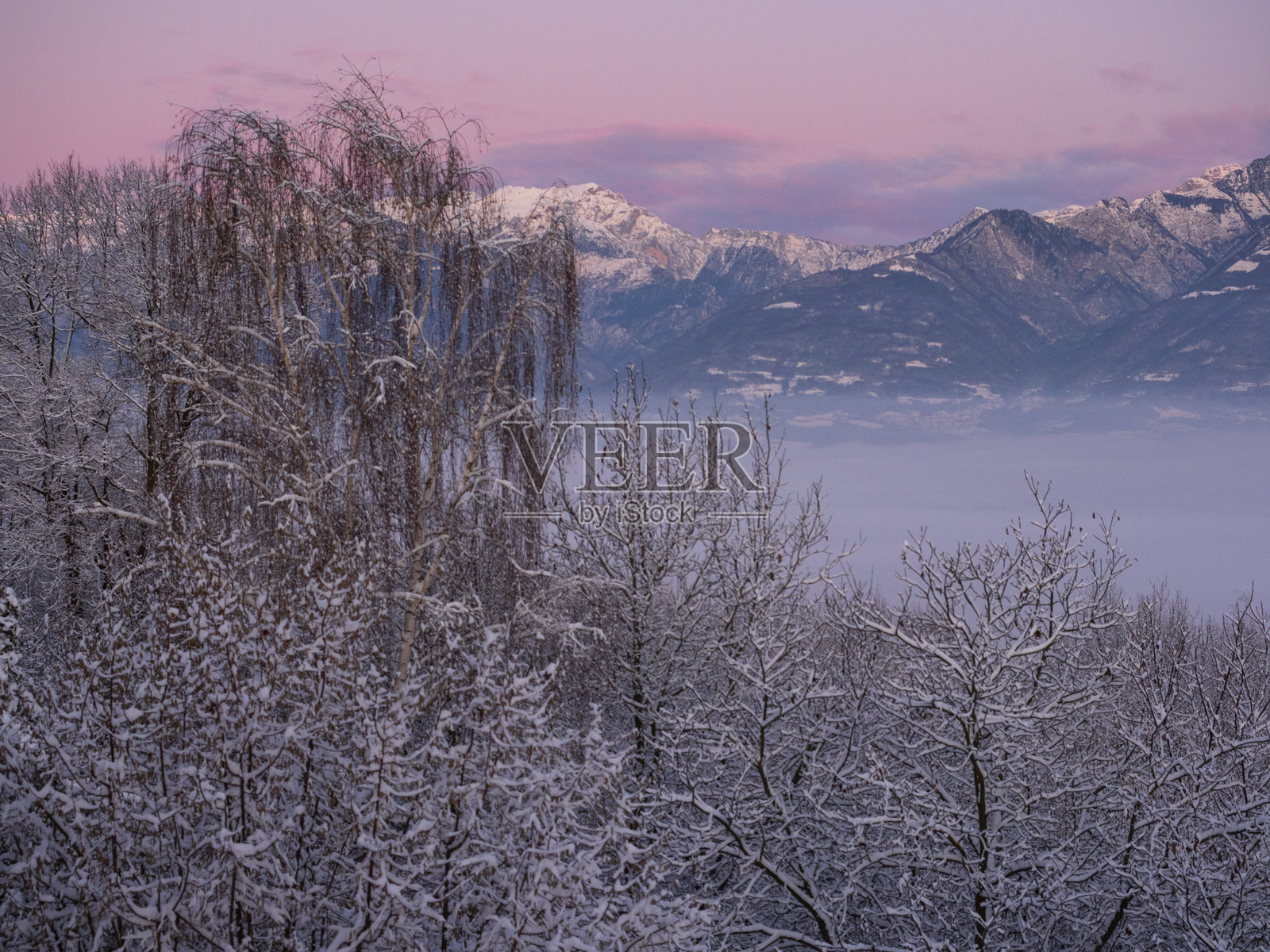 梅尔照片摄影图片