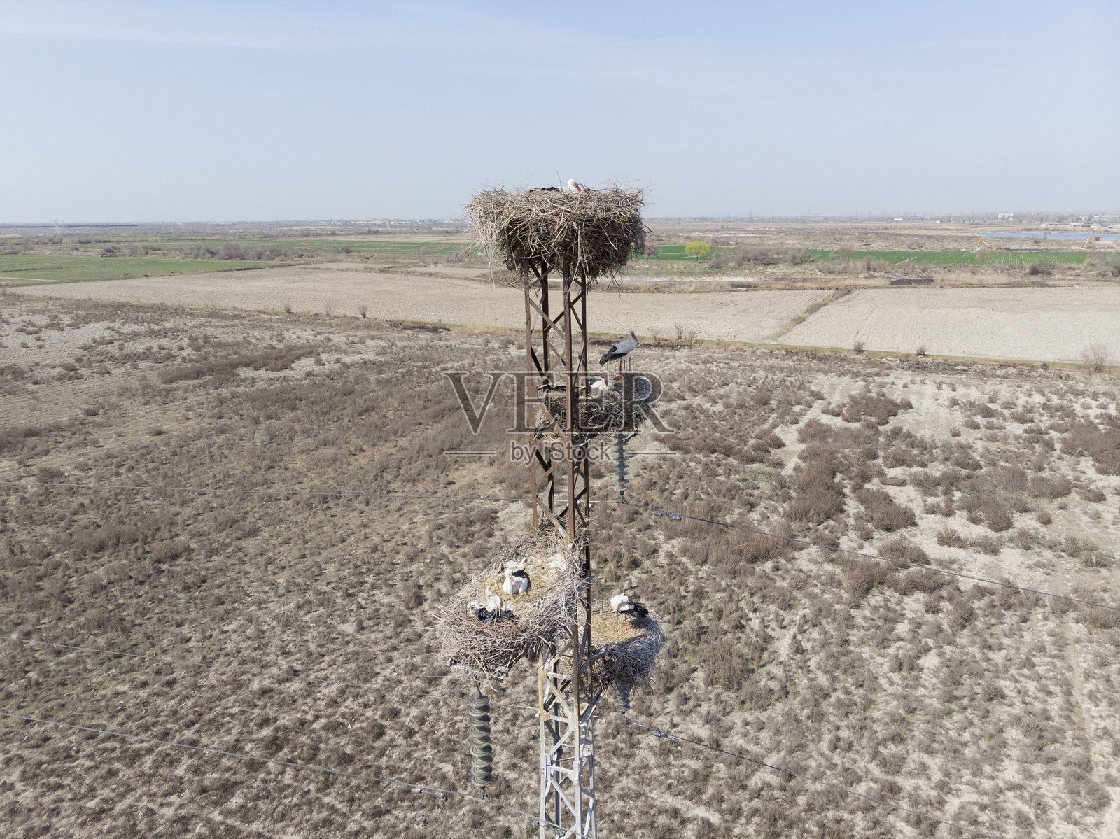 白鹳在杆子上的巢，使用四旋翼无人机拍摄，特写镜头。乌兹别克斯坦照片摄影图片